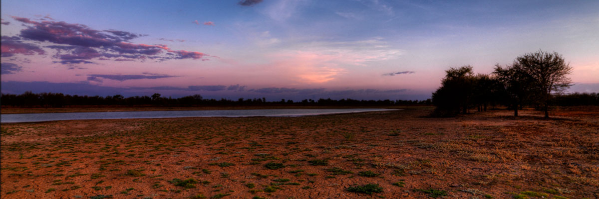 Muttonhole wetlands