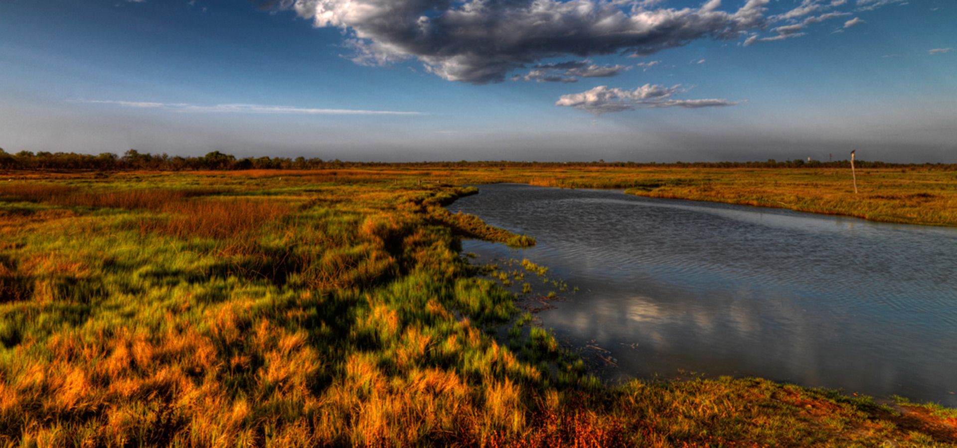 Wetlands_Carousel_banner.jpg