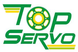 Top servo logo